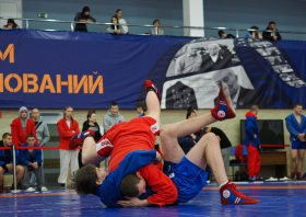 Всероссийский день самбо (16.11.2025)