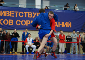 Всероссийский день самбо (16.11.2025)