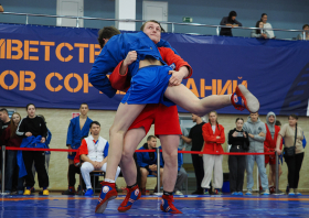 Всероссийский день самбо (16.11.2025)