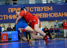 Всероссийский день самбо (16.11.2025)