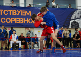 Всероссийский день самбо (16.11.2025)