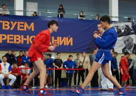 Всероссийский день самбо (16.11.2025)