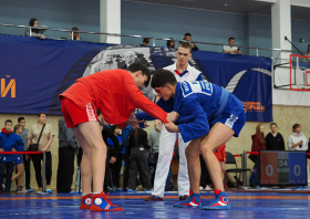 Всероссийский день самбо (16.11.2025)