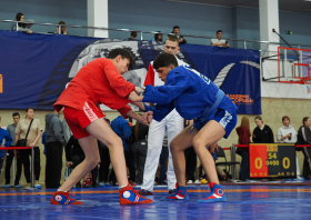 Всероссийский день самбо (16.11.2025)