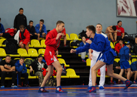 Всероссийский день самбо (16.11.2025)