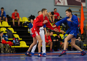 Всероссийский день самбо (16.11.2025)