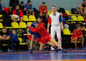 Всероссийский день самбо (16.11.2025)