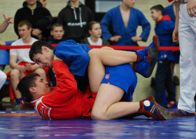 Всероссийский день самбо (16.11.2025)