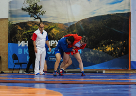 Всероссийский день самбо (16.11.2025)