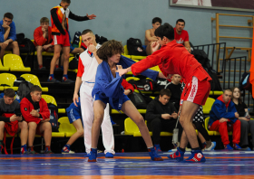 Всероссийский день самбо (16.11.2025)