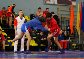 Всероссийский день самбо (16.11.2025)