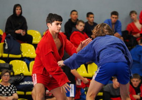 Всероссийский день самбо (16.11.2025)