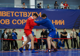 Всероссийский день самбо (16.11.2025)