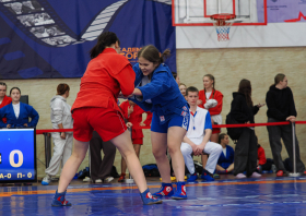 Всероссийский день самбо (16.11.2025)