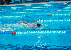 Лига трудовых коллективов Красноярского края, плавание (22.11.2025)