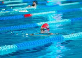 Лига трудовых коллективов Красноярского края, плавание (22.11.2025)