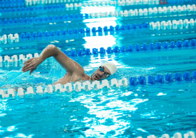 Лига трудовых коллективов Красноярского края, плавание (22.11.2025)