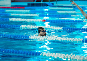 Лига трудовых коллективов Красноярского края, плавание (22.11.2025)