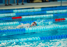 Лига трудовых коллективов Красноярского края, плавание (22.11.2025)