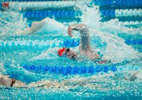 Лига трудовых коллективов Красноярского края, плавание (22.11.2025)