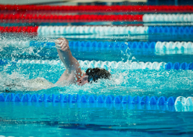 Лига трудовых коллективов Красноярского края, плавание (22.11.2025)