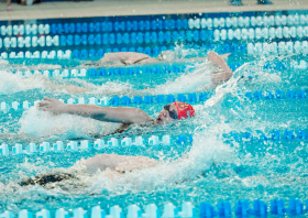 Лига трудовых коллективов: финальные заплывы