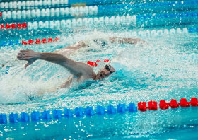 Лига трудовых коллективов Красноярского края, плавание (22.11.2025)