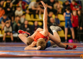 Борьба в школу!