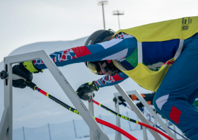 XIII Зимняя спартакиада учащихся (юношеская) России, фристайл