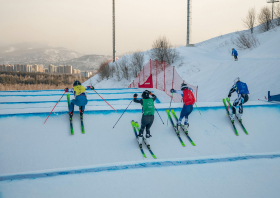 Спартакиада учащихся России: медали фристайла