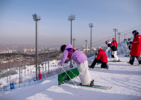 XIII Зимняя спартакиада учащихся (юношеская) России, фристайл