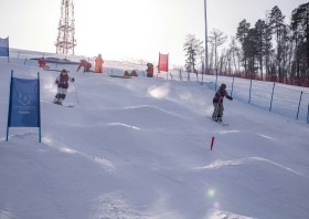 XIII Зимняя спартакиада учащихся (юношеская) России, фристайл