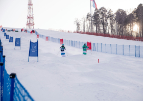 XIII Зимняя спартакиада учащихся (юношеская) России, фристайл