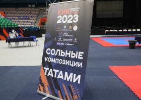 Медали первенства России по кикбоксингу
