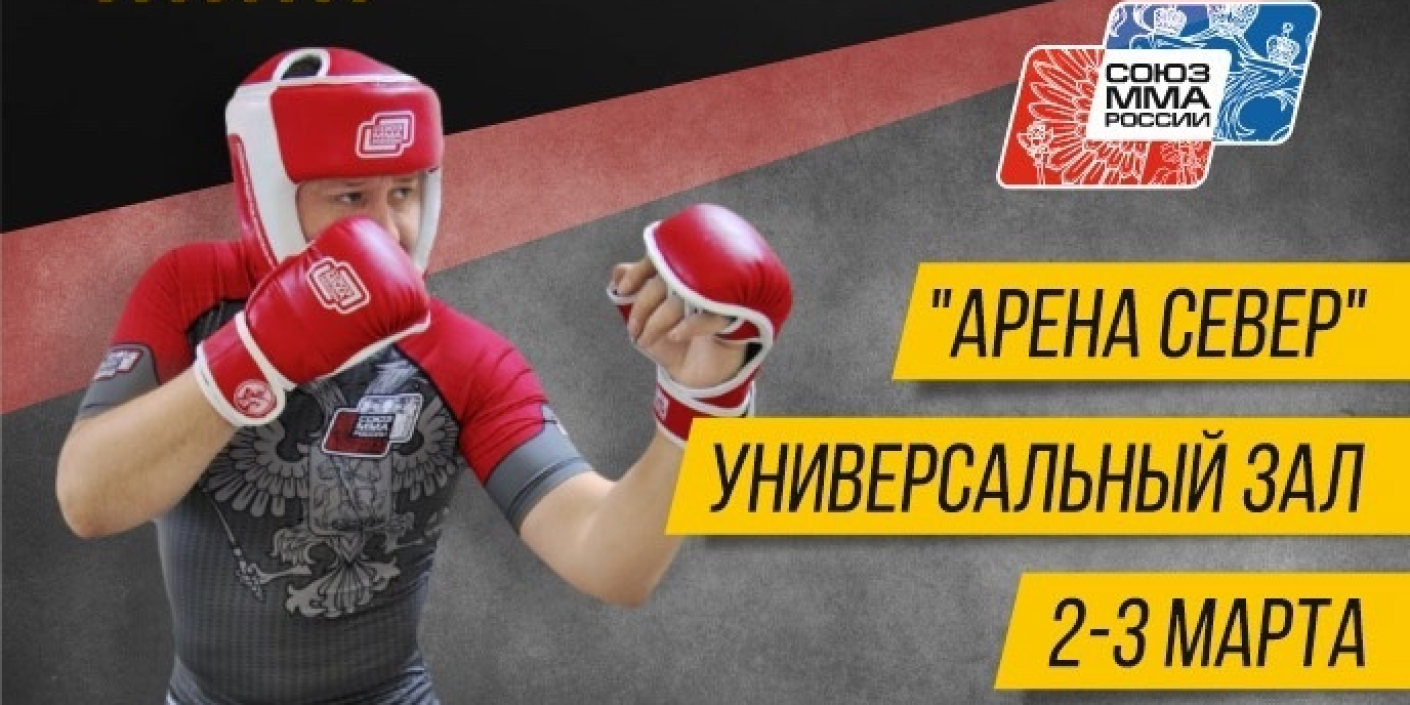 Первенство Сибири<br>по ММА: 14 медалей