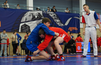 Всероссийский день самбо (16.11.2025)